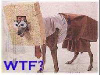 wtf.jpg