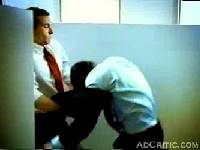 molson-canadian-no-doot-aboot-it.qt